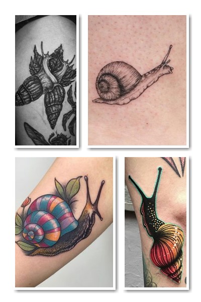  зображення равлика в тату