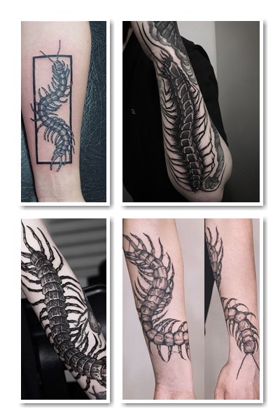 Тату сколопендра у Києві