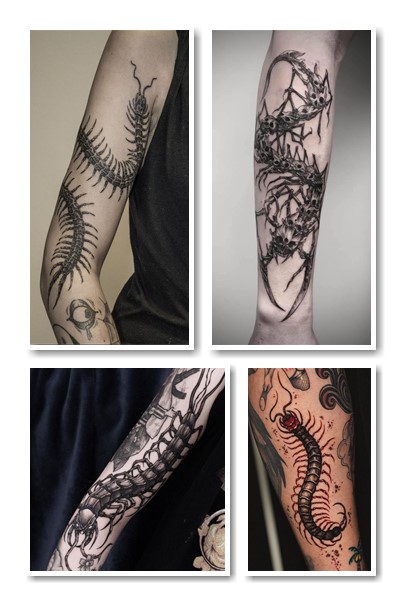 Символічне значення сколопендра тату