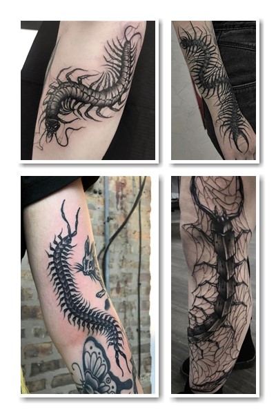 сколопендра татуювання