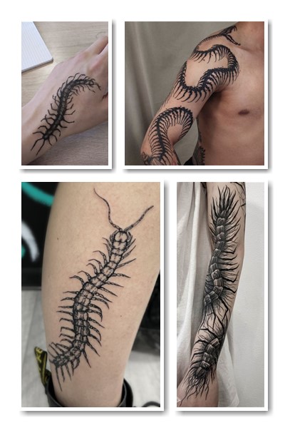 Тлумачення малюнку Тату сколопендра 