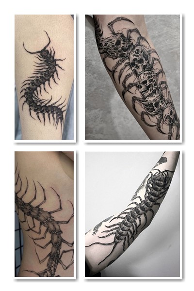 Стилі та місця нанесення Тату сколопендра