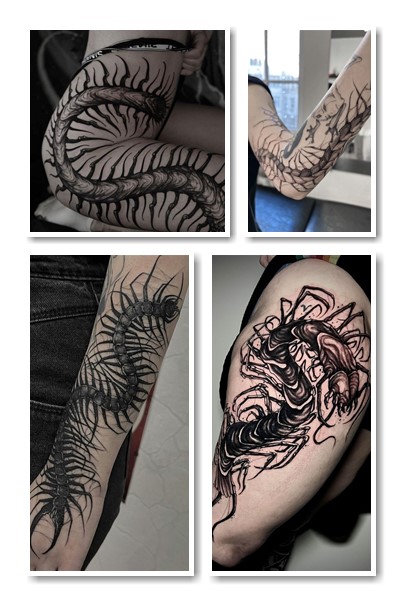 Тату сколопендра (тату сороконіжка)