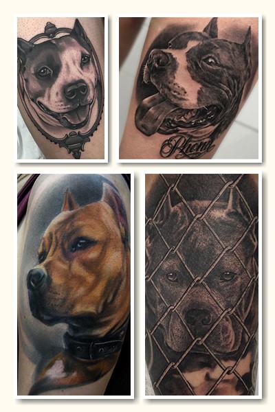 Тлумачення тату стафф