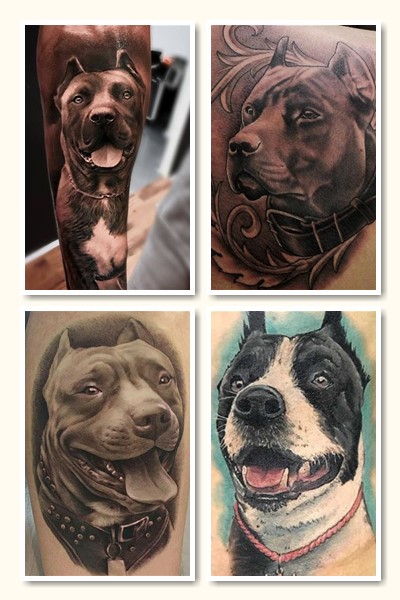тату собака стафф