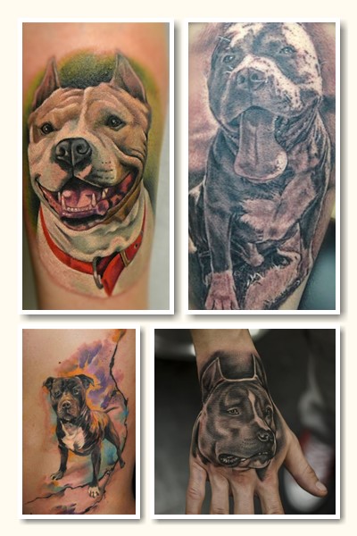 варіанти значення Тату стафф 