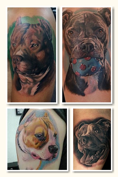 Популярні варіанти тату стафф