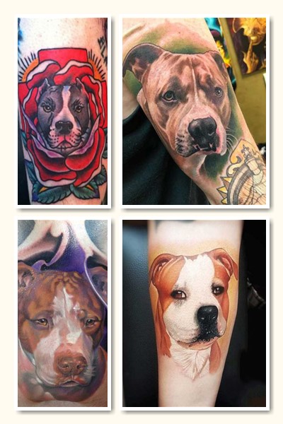 Тату стаффорд – оригінальний малюнок