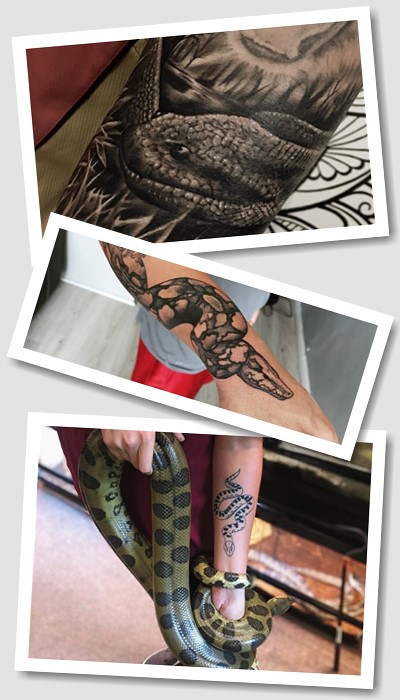 Що означає тату з пітоном чи удавом?