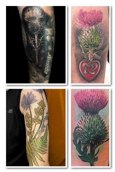 Тату будяк та шипшина у Києві