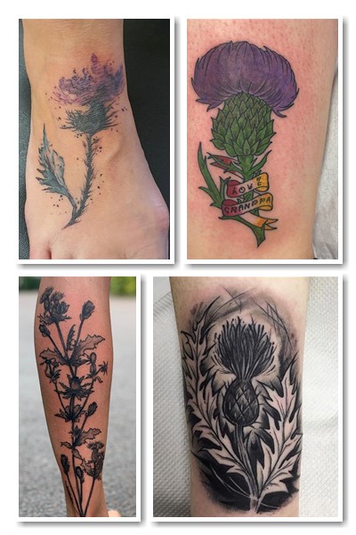 Чоловіки наносять татуювання з чортополохом