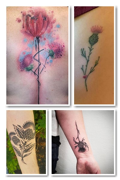 Значення татуювання шипшина