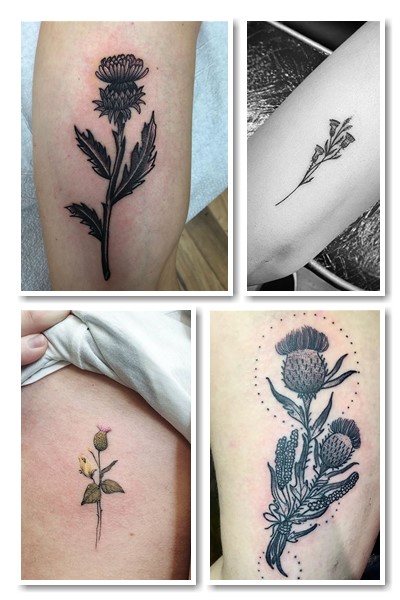 тату шипшина символізм