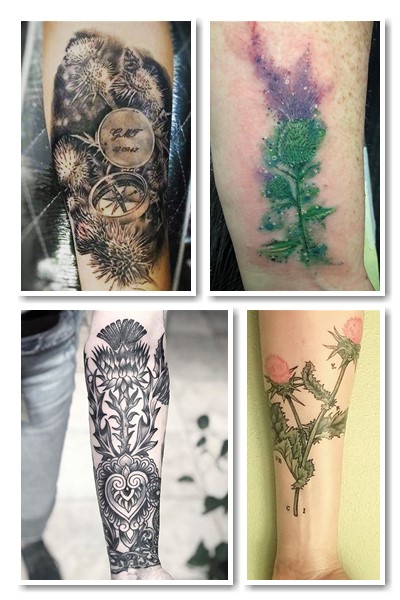 Втілити тату будяк та шипшина можна по-різному