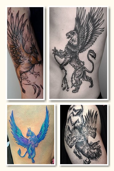 Основні значення тату грифон