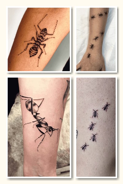 Значення татуювання мураха