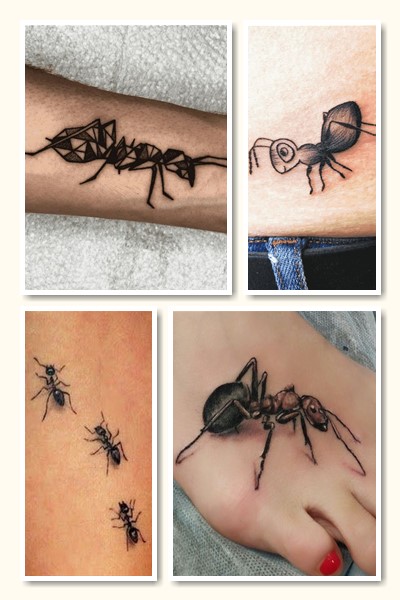 Місце розміщення тату мураха