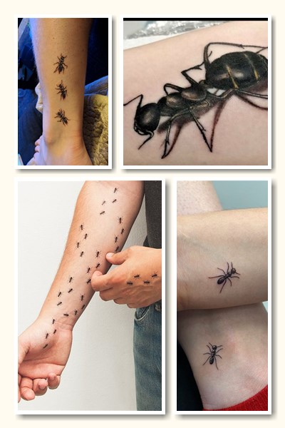 Тату мураха символізує