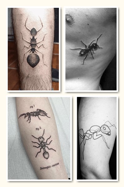 Тату мураха асоціюється з рисами характеру