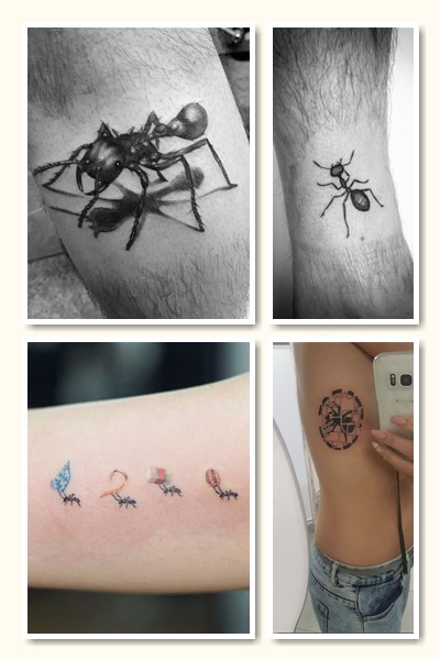 тату Продіджі мураха