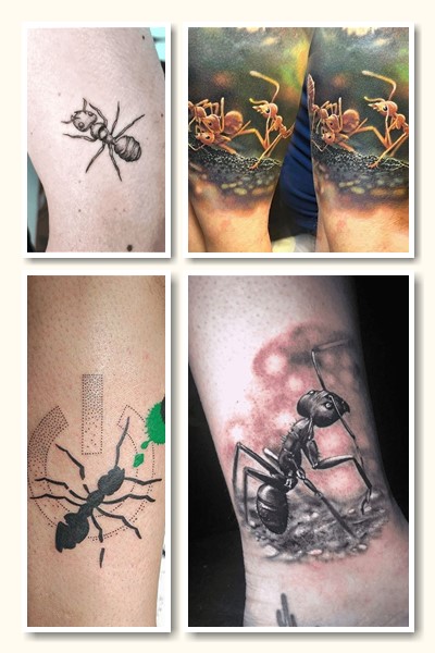 мурашка тату символіка