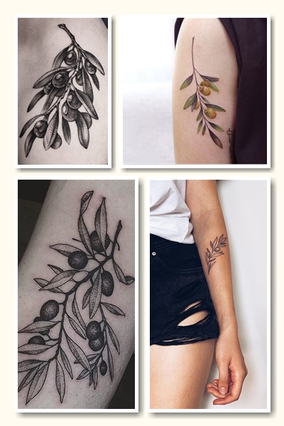 оливкові гілки тату