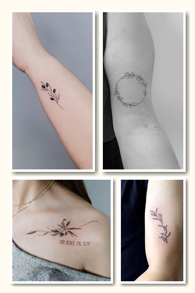 хто обирає Тату оливки