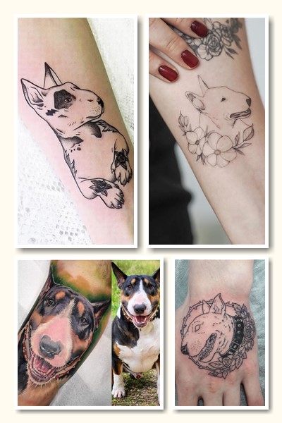 тату бультер’єр символізм