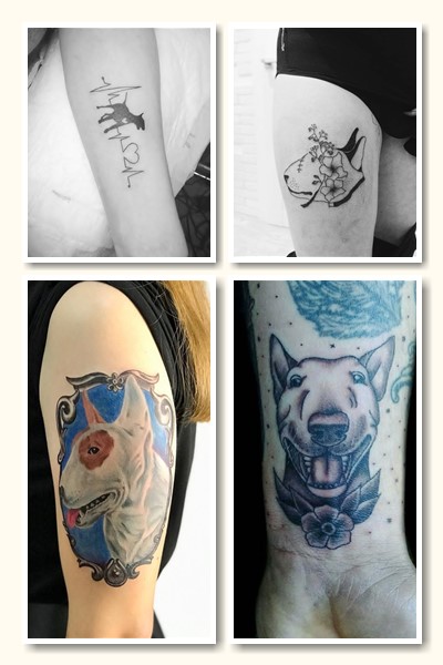 варіанти тату бультер’єр