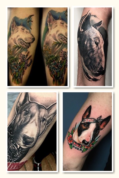 бультер’єр тату у Києві