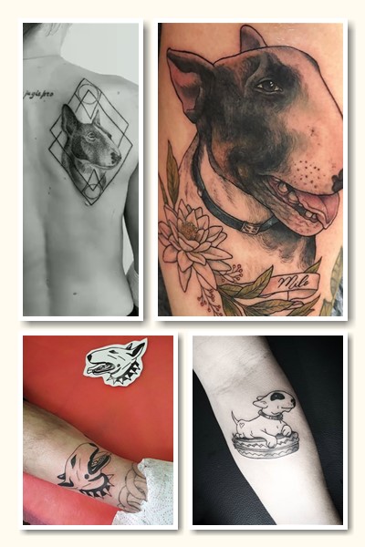 Тату бультер’єр кому підійде