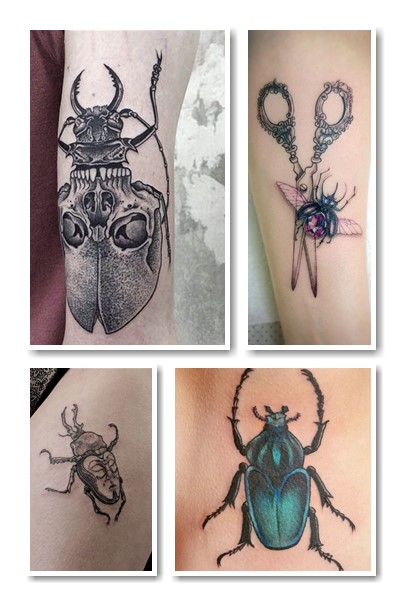 Види жуків в тату