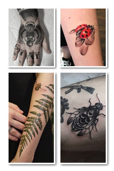Що татуювання жук говорить про людину