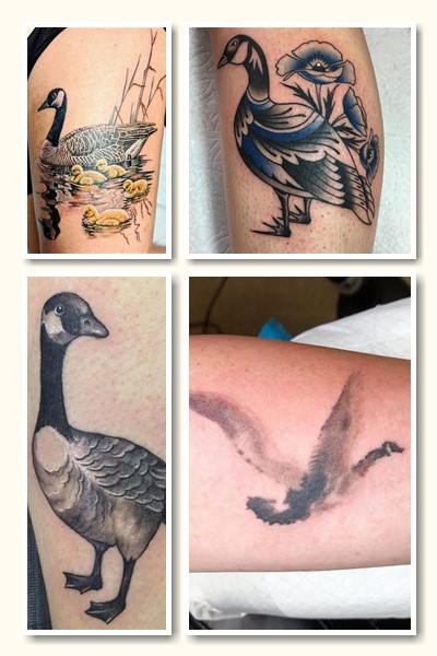 Гусак — птах, який довгий час символізував зв'язок між матеріальним та духовним світом. Його приносили в жертву, щоб задобрити богів, здобути спокій і достаток. Татуювання гусак здається не банальним вибором, причому у нього можуть бути різні інтерпретації. Значення татуювання гусак татуювання гусак Цікаве з історії символу У Стародавньому Єгипті гусак служив символом сонця та сонячного світла. Зображеннями гусей прикрашали стіни палаців, одяг та шкіру. Згідно з однією з легенд, саме з гусячого пера з'явилося сонце. Вважалося, що якщо у господарстві є гуси, це робить сім'ю міцнішою. Відомо, що гуси врятували Рим: своїми криками вони попередили армію міста про небезпеку, що наближається. Так птах став символом пильності. Крім того, гуси асоціювалися з богом війни - Марсом. Цікаве з історії символу тату гусак Кельти наділяли гусей майже тими ж рисами, що і римляни: войовничістю; відвагою; прагненням боротися з ворогом. У Стародавній Індії гусака називали перевізником душ. Подейкували, що цей птах здатний передбачати майбутнє — треба лише розібрати, що саме він каже. гусак тату варіанти У культурі древніх шумерів гусак вважався втіленням домівки. Його зображення пов'язували із захистом власного будинку, достатком та процвітанням. Гусак також був пов'язаний з богом домашнього господарства та скотарства Бау. У європейському фольклорі гусака і гуску часто зображують дурними, балакучими, простодушними. Це добрі та чуйні персонажі, які можуть потрапляти в неприємності через надмірну довірливість. Де набивають татуювання гусак Де набивають татуювання Татуювання гусак, якщо йдеться про масштабний малюнок, найчастіше розміщується на рукаві чи нозі. Цей варіант чудово підходить як жінкам, так і чоловікам. Невеликий птах непогано виглядає на передпліччі або кісточці. Останнім часом у Києві популярні парні та потрійні татуювання з гусями (або будь-якими іншими птахами, що ширяють у повітрі). В цьому випадку частини зображення розміщують на зап'ясті 2-3 людей, а при складанні разом утворюють цілісну композицію. Що означає тату гусак Що означає тату гусак Гусак асоціюється з войовничістю. Цей птах готовий атакувати супротивника, незважаючи на його фізичну силу та міць. Разом з тим, гуска має біле оперення, тому він пов'язаний з добром і світлом. Він не нападатиме без вагомої причини. Татуювання гусак - свого роду захисний амулет