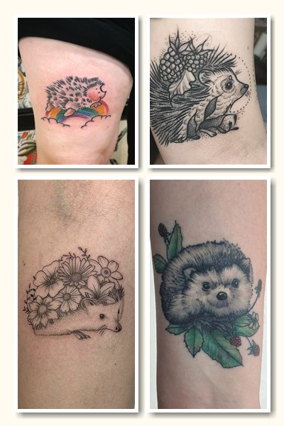 Значення тату Сонік 