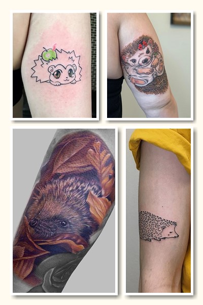 Різновиди татуювань їжак