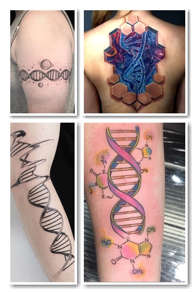 Додаткові елементи ДНК