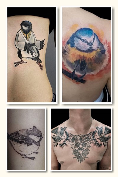 синиця тату