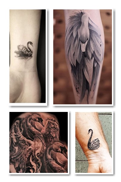 значення символу тату лебідь в історії