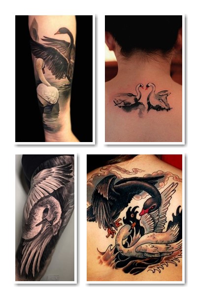 Що означає тату лебідь