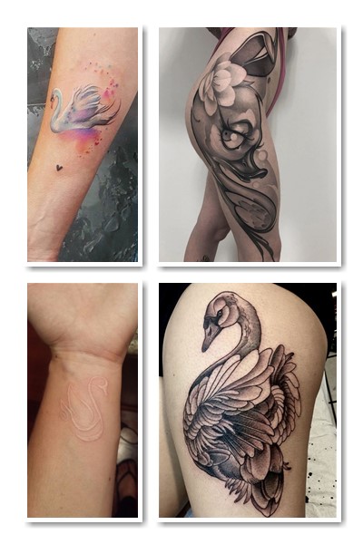 Стилі  тату лебідь