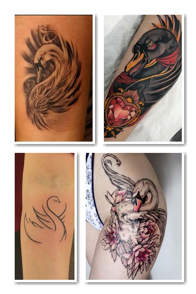 Різні значення тату лебідь