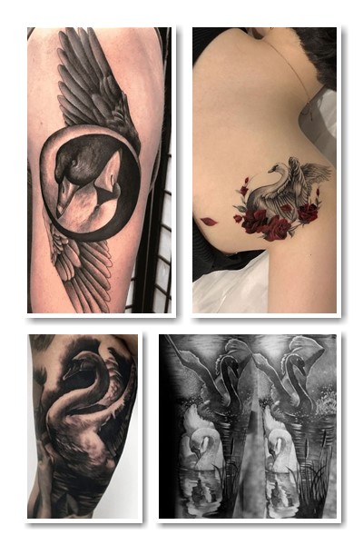 чим Татуювання лебідь можна доповнити