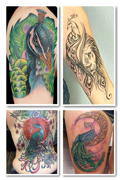 Значення на чоловічому тілі тату павич