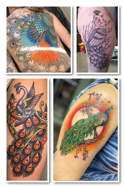  зображення тату павич