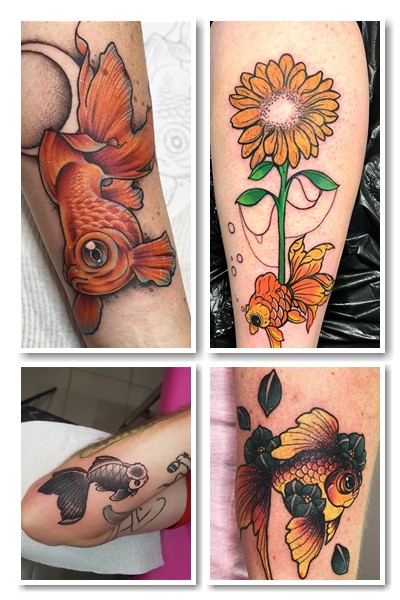 Значення золота рибка тату