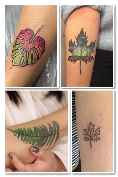 Значення татуювань Зображення листя 