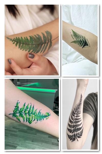 Значення татуювання лист папороті