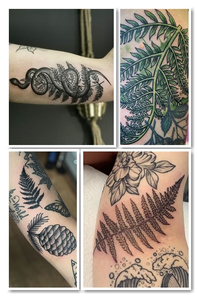 Історія символу тату папороть