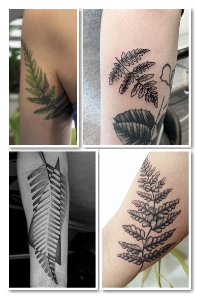 Як зобразити папороть тату